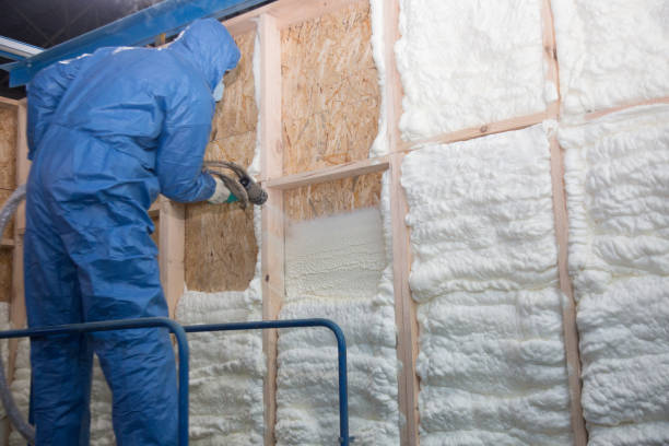 Best Spray Foam Insulation in Broadmoor, CA